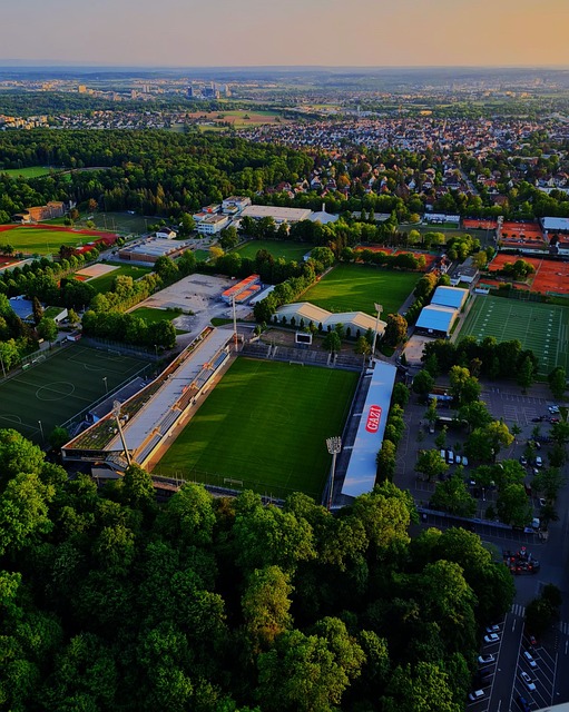 申京与贾伦 申京与贾伦